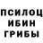 Псилоцибиновые грибы Cubensis Sid Aly