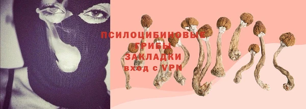 твердый Инсар