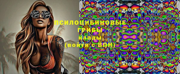 2c-b Инта