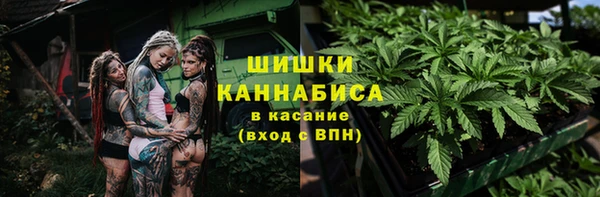 твердый Инсар