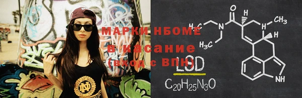 твердый Инсар