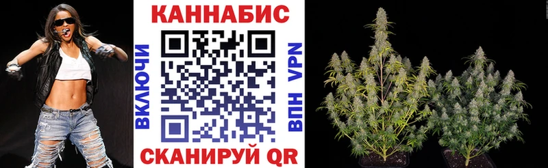 Бошки марихуана THC 21%  Купить закладки  Дальнереченск 